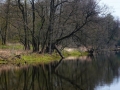 Fot. Elżbieta Przybylska