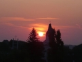 Fot. Elżbieta Przybylska