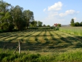 Sianokosy. Fot. Adam J. Karpiński