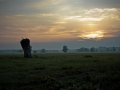 Fot. Grzegorz Płachetko