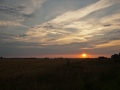 Fot. Grzegorz Płachetko