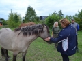 Gulczewo