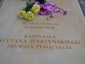 Kamieńczyk nad Bugiem