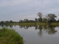 Kamieńczyk nad Bugiem