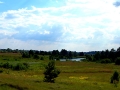 "Makro Łęgi", fot.  Ryszard Umiński