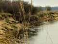 009. Nadbużańskie Meandry - Adam Michalik.