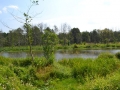 Skansen w Kuligowie