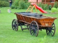 Wincentowo Bagno Pulwy Wincentowo Bagno Pulwy
