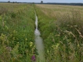 Wincentowo Bagno Pulwy