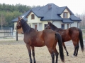 Konkurs "Wiosna w Anastazewie". Arkadiusz Ponichtera.