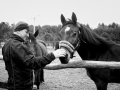 Wiosna w Anastazewie